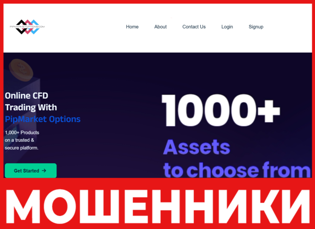 PipMarket Options лицевая сторона скрин