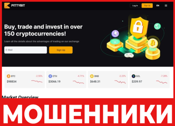 PittyBit лицевая сторона скрин