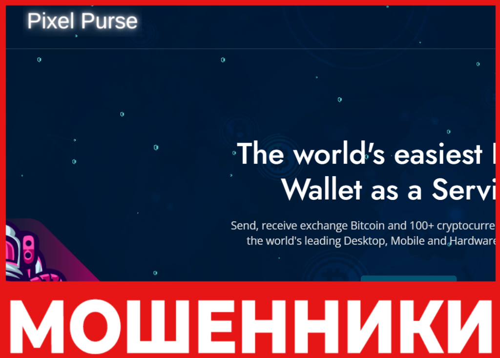 Pixelpurse лицевая сторона скрин
