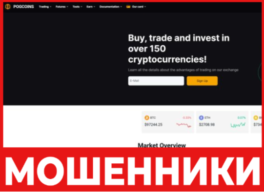 PogCoins лицевая сторона скрин