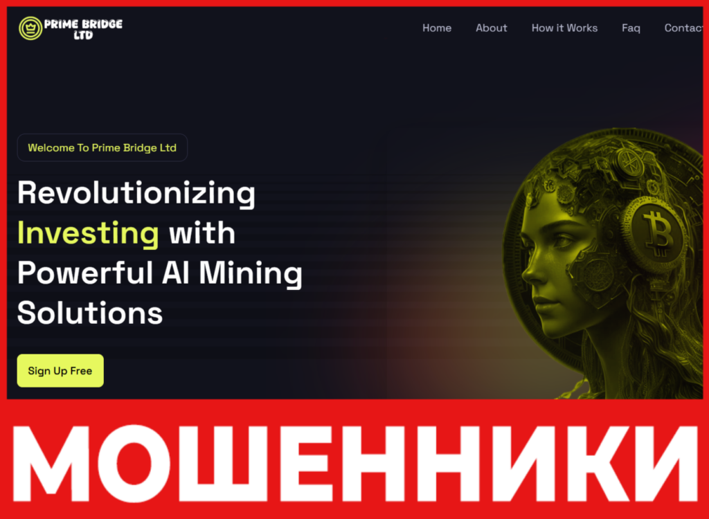 Prime Bridge Ltd лицевая сторона скрин