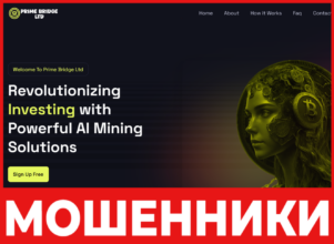 Prime Bridge Ltd лицевая сторона скрин