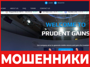 Prudent Gains лицевая сторона скрин