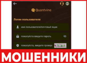 Quantvinesee лицевая сторона скрин