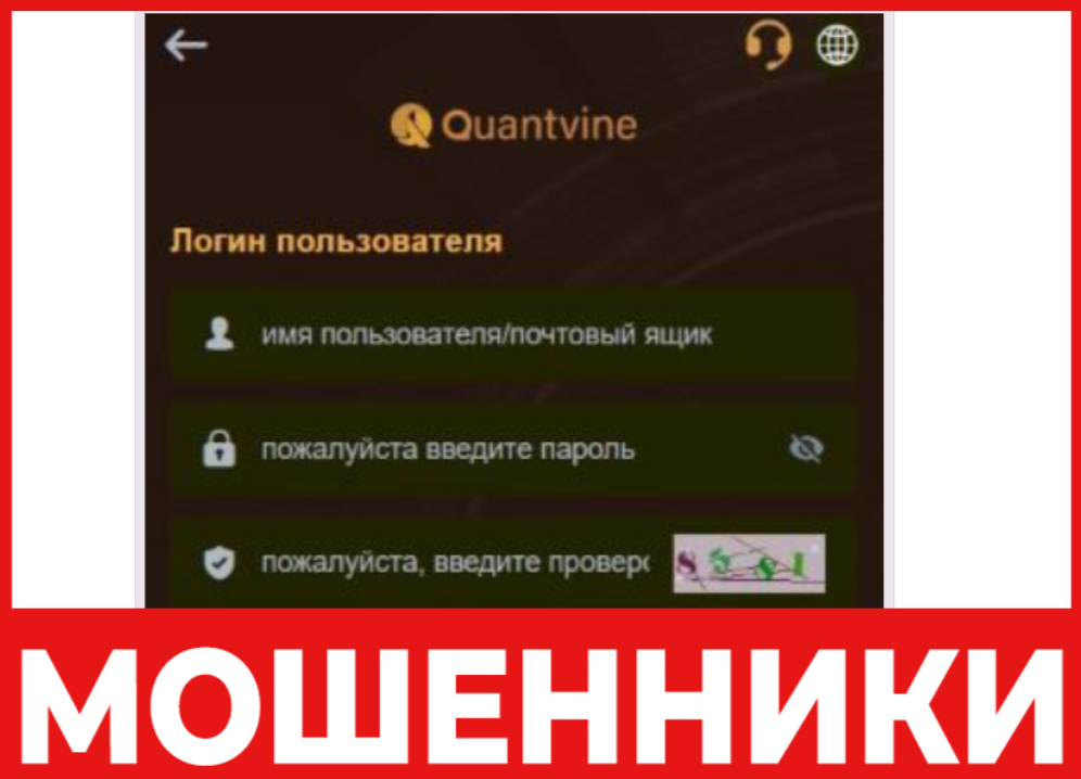 Quantvinesee лицевая сторона скрин