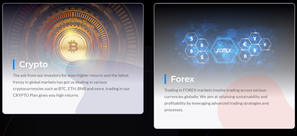 Risevest LTD 1 скрин