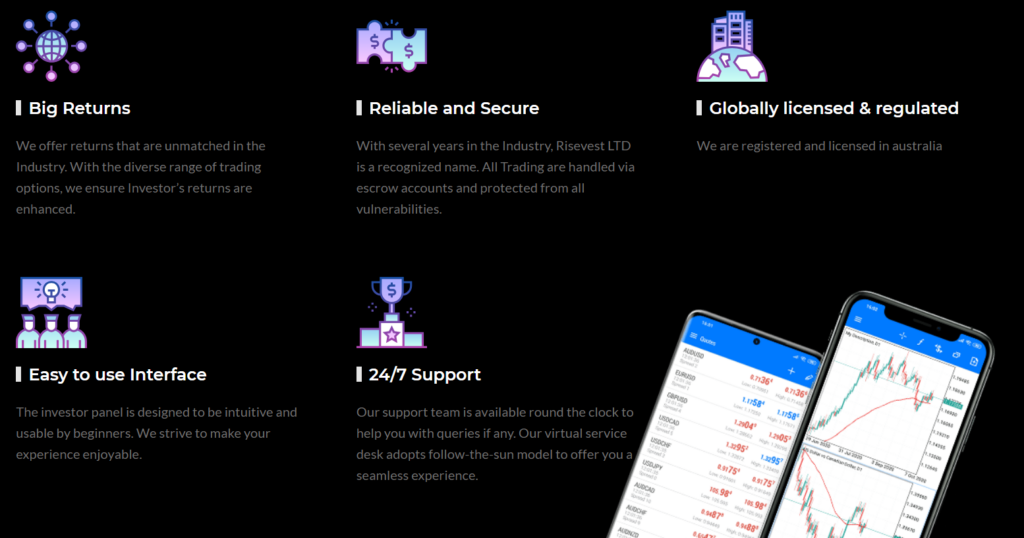 Risevest LTD 2 скрин