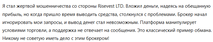 Risevest LTD 3 скрин