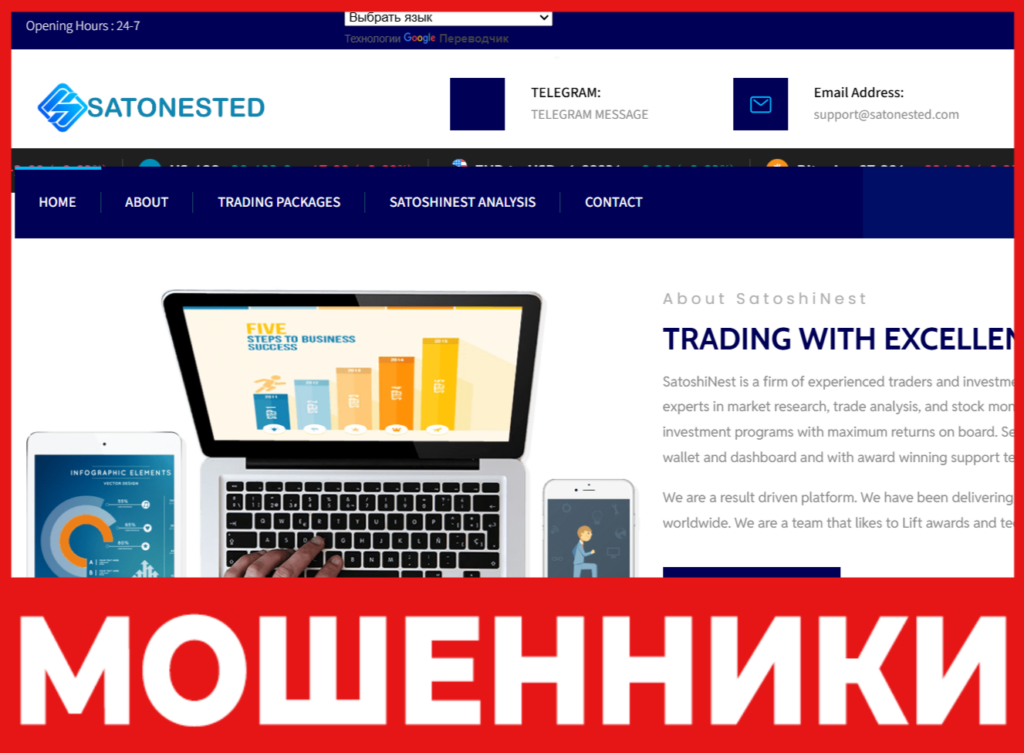 SatoshiNest лицевая сторона скрин