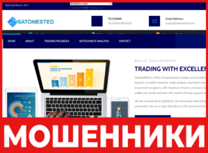 SatoshiNest лицевая сторона скрин