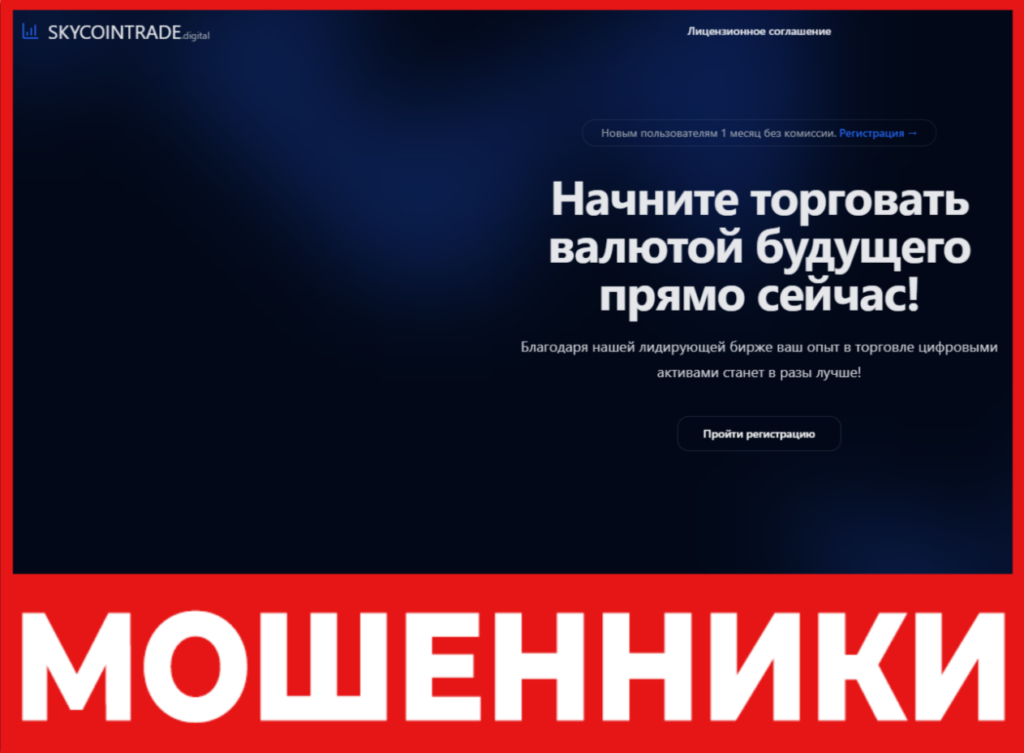 Skycointrade лицевая сторона скрин