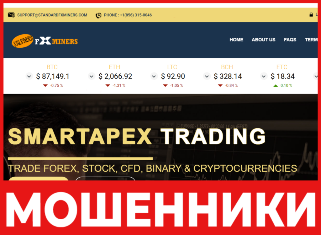 Standardfxminers лицевая сторона скрин