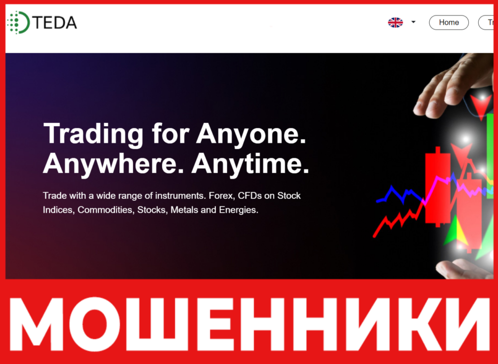 TEDA Global Limited лицевая сторона скрин