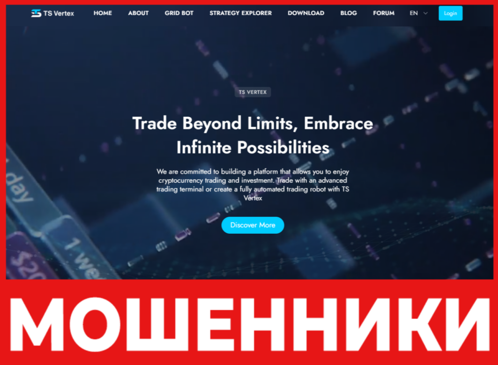 TS Vertex лицевая сторона скрин