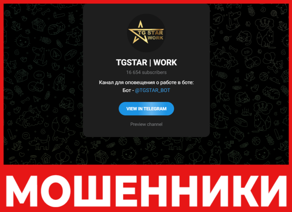 Tgstar Work лицевая сторона скрин