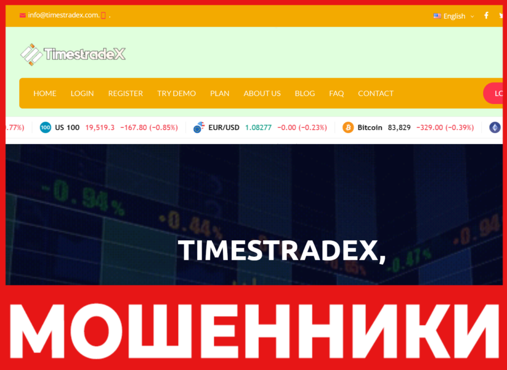 Timestradex лицевая сторона скрин