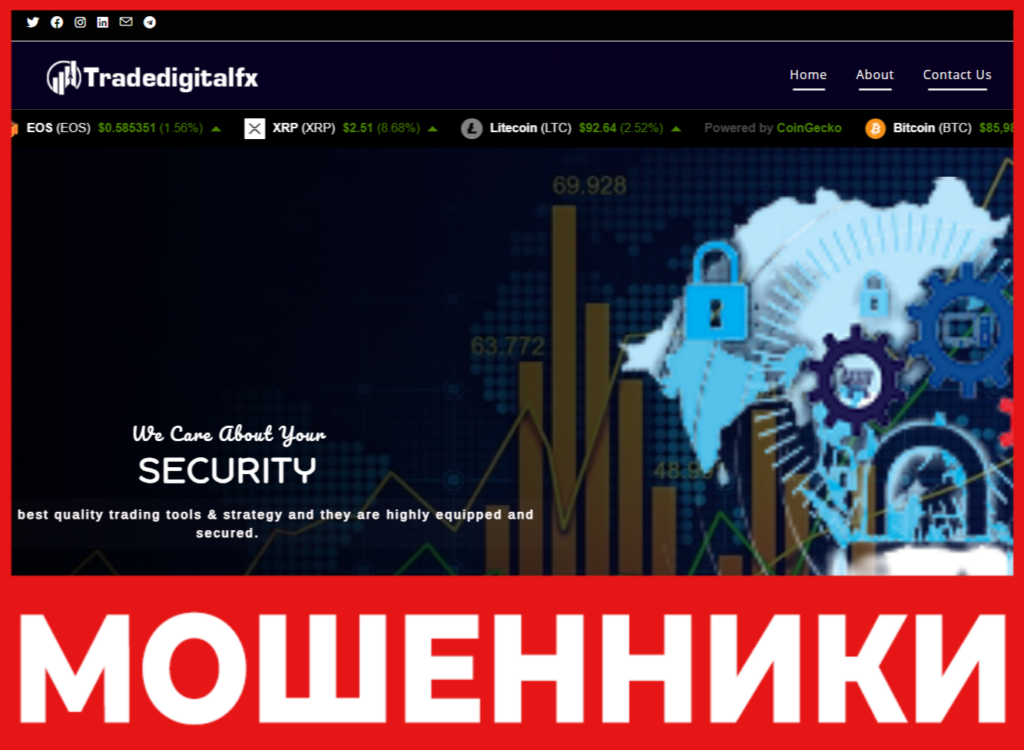 Tradedigitalfx лицевая сторона скрин