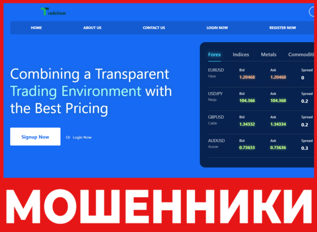 Tradelium лицевая сторона скрин