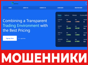 Tradelium лицевая сторона скрин