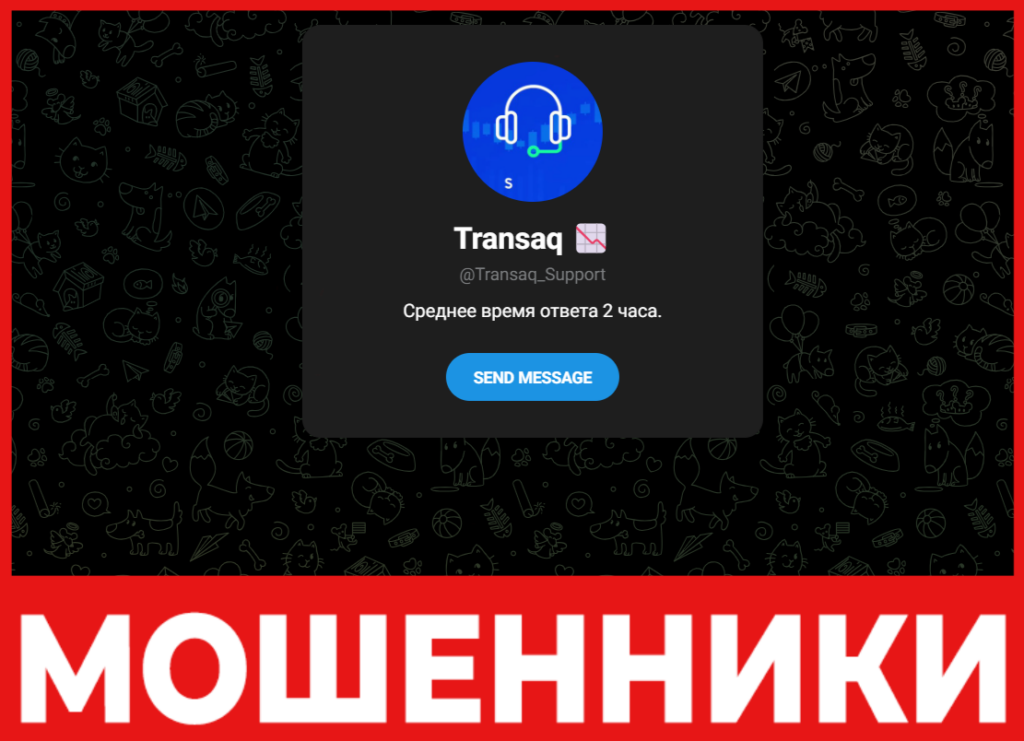 Transaq лицевая сторона скрин