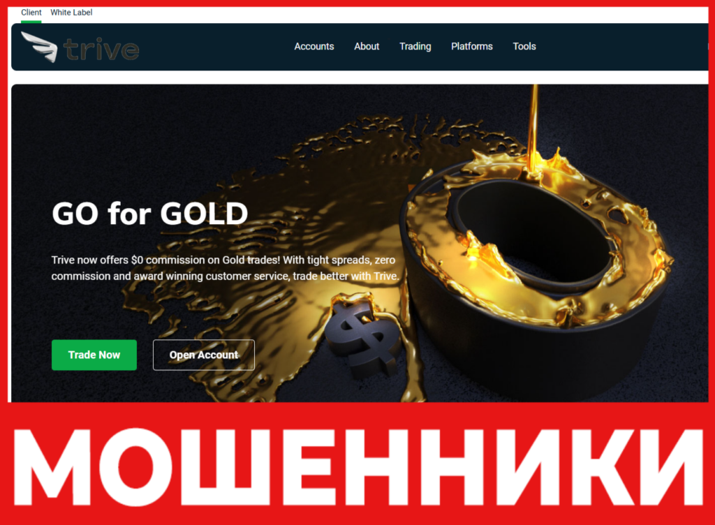 Trivevip лицевая сторона скрин