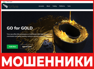 Trivevip лицевая сторона скрин