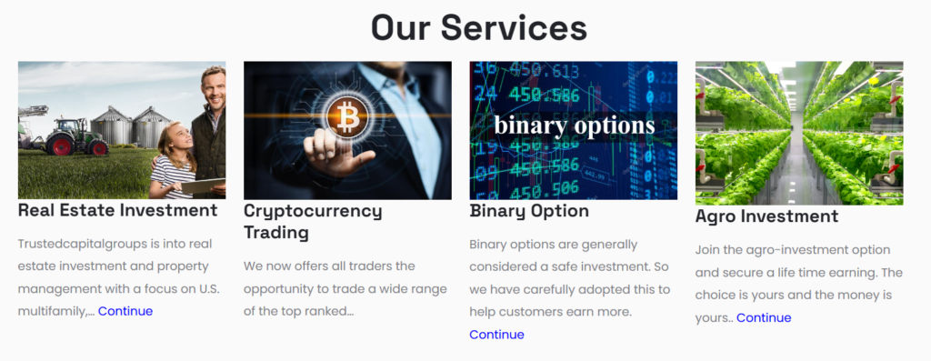 Trustedcapitalgroups 2 скрин