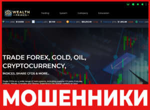 WealthPrimes лицевая сторона скрин