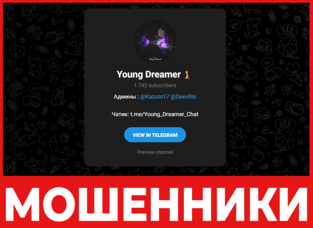 Young Dreamer лицевая сторона скрин