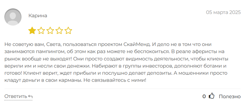 SkyMend_1 скрин