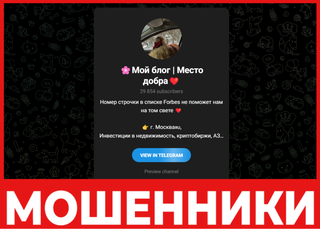 Мой блог Место добра лицевая сторона скрин