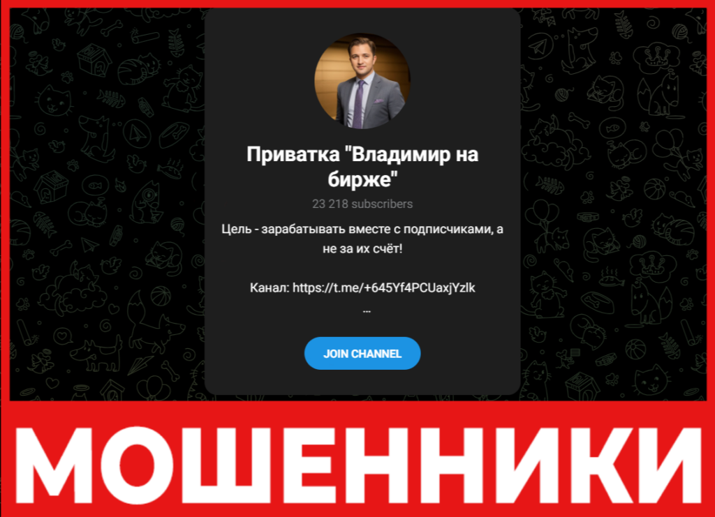 Приватка «Владимир на Бирже» лицевая сторона скрин