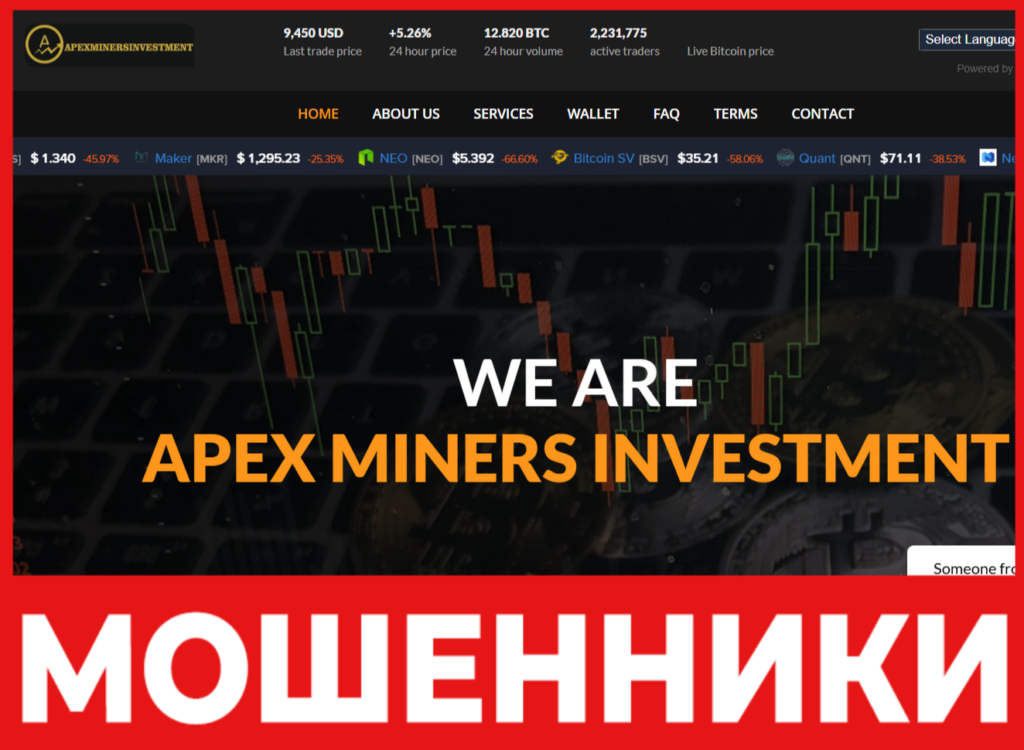 Apex Miners Investment лицевая сторона скрин