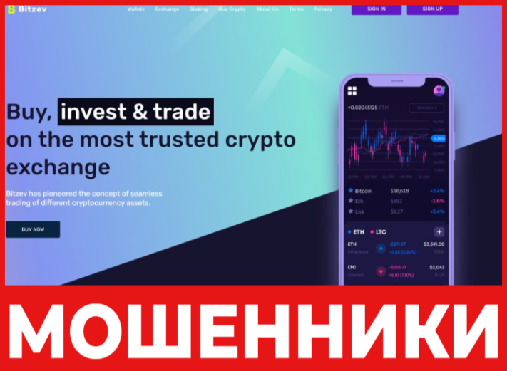 Bitzev лицевая сторона скрин