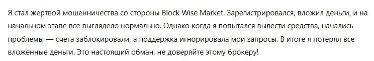 Block Wise Market 3 скрин
