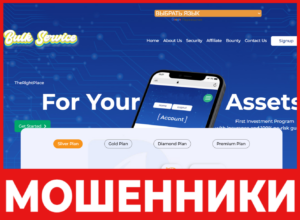 Bulkservice лицевая сторона скрин