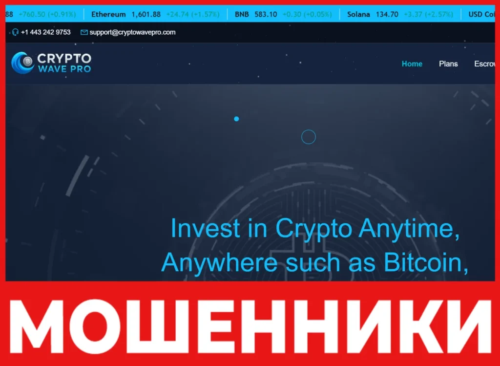CRYPTO WAVE PRO лицевая сторона скрин