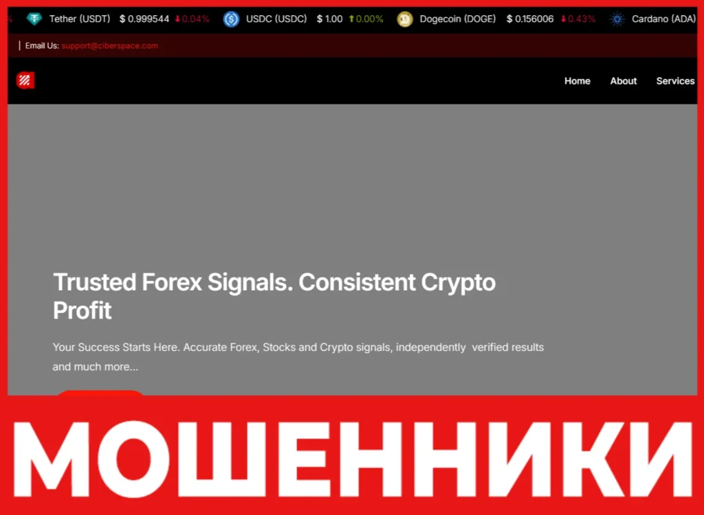 Cibroxspace лицевая сторона скрин