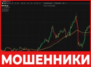 Elite Save лицевая сторона скрин