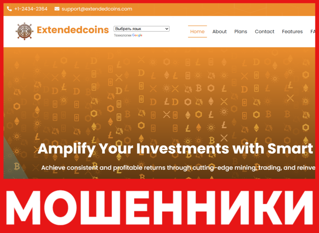 Extendedcoins лицевая сторона скрин
