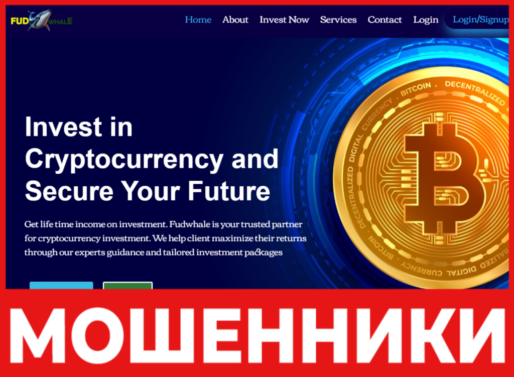 FUDWHALE лицевая сторона скрин