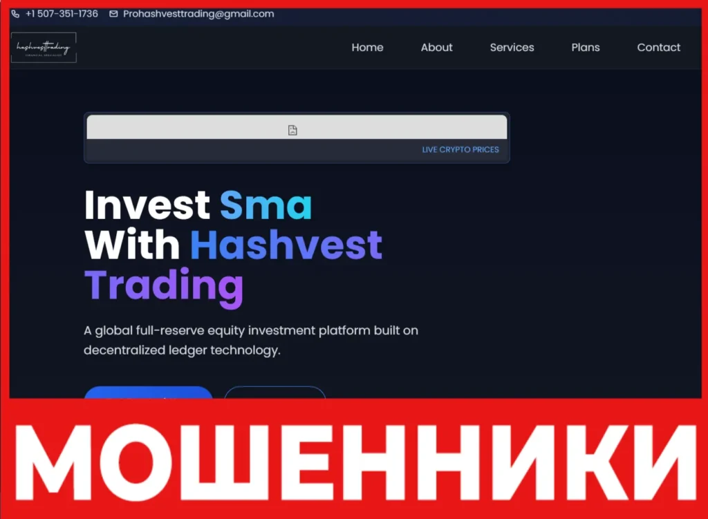 Hashvest Trading лицевая сторона скрин