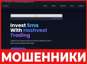 Hashvest Trading лицевая сторона скрин