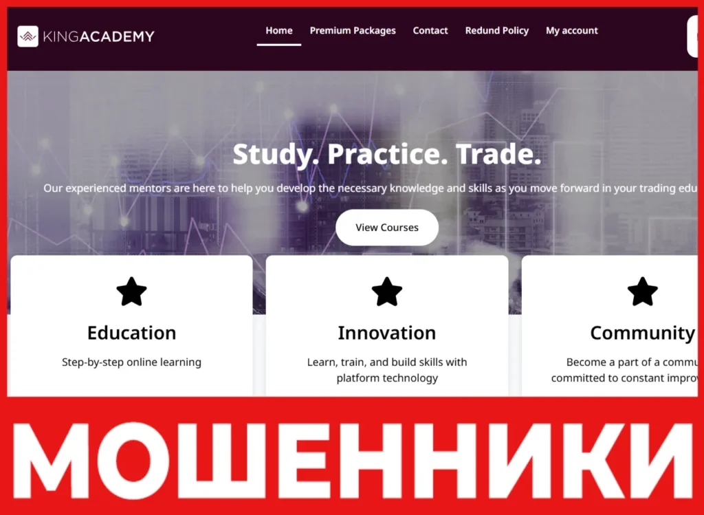 King Academy лицевая сторона скрин