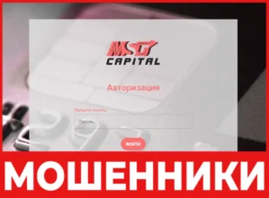 MSG Capital лицевая сторона скрин