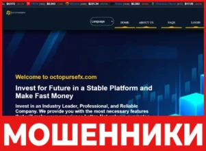 Octopursefx лицевая сторона скрин