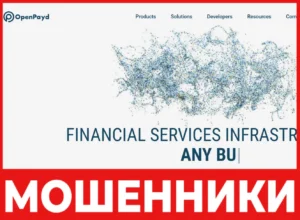 OpenPayd лицевая сторона скрин