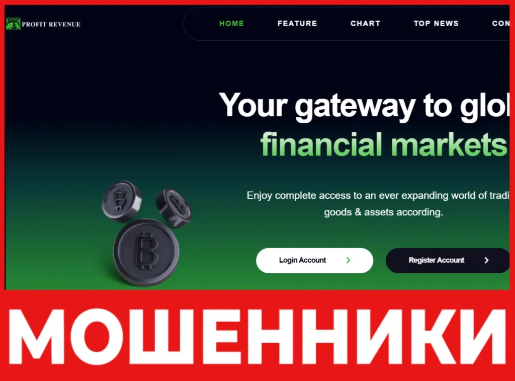 Profits Revenue лицевая сторона скрин