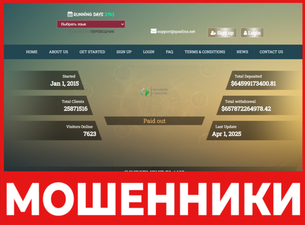 Qoadins лицевая сторона скрин