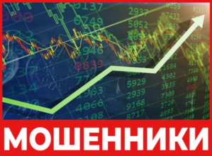 SwingTradeBull лицевая сторона скрин